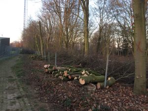 Sportles Liemers College @ Kleedkamers + Baan