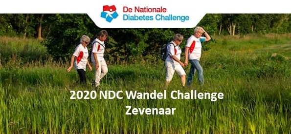 Diabetes Wandel Challence